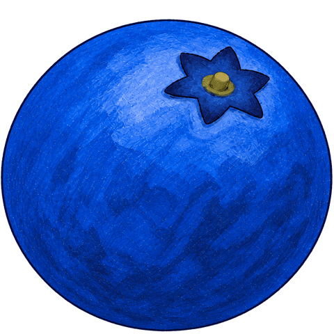 A blueberry